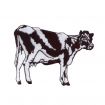On The Farm Embroidery Designs by Amazing Designs on a Multi-Format CD-ROM ADC-115