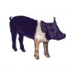 On The Farm Embroidery Designs by Amazing Designs on a Multi-Format CD-ROM ADC-115