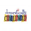 Domestic Goddess JUMBO Embroidery Designs by Amazing Designs on a Multi-Format CD-ROM ADC-81J