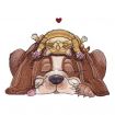 Pets Embroidery Designs by Gary Patterson for Amazing Designs on a Multi-Format CD-ROM ADP-60J