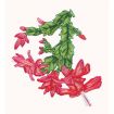 Floral Fantasies Embroidery Designs by Lennie Honcoop for Amazing Designs on a Multi-Format CD-ROM ADP-62J