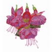 Floral Fantasies Embroidery Designs by Lennie Honcoop for Amazing Designs on a Multi-Format CD-ROM ADP-62J