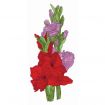 Floral Fantasies Embroidery Designs by Lennie Honcoop for Amazing Designs on a Multi-Format CD-ROM ADP-62J