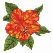 Floral Fantasies Embroidery Designs by Lennie Honcoop for Amazing Designs on a Multi-Format CD-ROM ADP-62J
