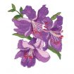 Floral Fantasies Embroidery Designs by Lennie Honcoop for Amazing Designs on a Multi-Format CD-ROM ADP-62J