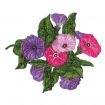 Floral Fantasies Embroidery Designs by Lennie Honcoop for Amazing Designs on a Multi-Format CD-ROM ADP-62J