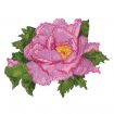 Floral Fantasies Embroidery Designs by Lennie Honcoop for Amazing Designs on a Multi-Format CD-ROM ADP-62J